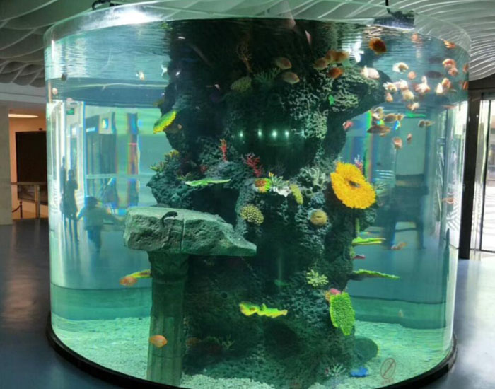 展示、觀賞魚缸（gāng）